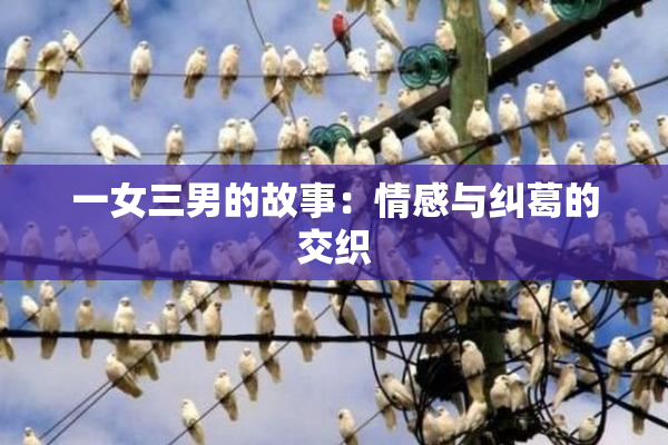 一女三男的故事：情感与纠葛的交织