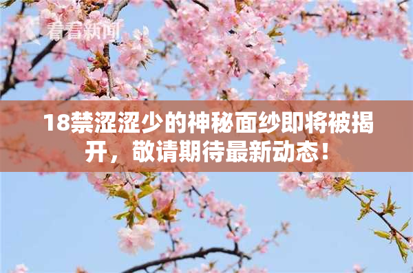 18禁涩涩少的神秘面纱即将被揭开，敬请期待最新动态！