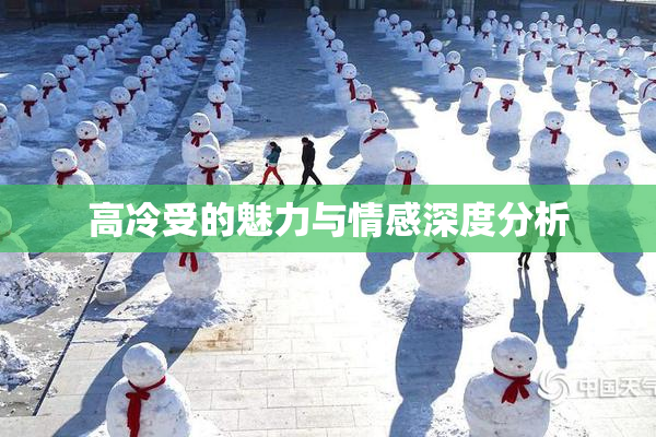 高冷受的魅力与情感深度分析