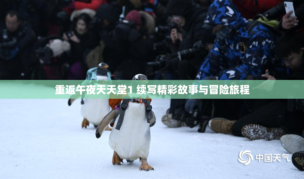 重返午夜天天堂1 续写精彩故事与冒险旅程