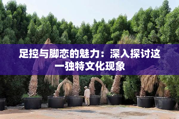 足控与脚恋的魅力：深入探讨这一独特文化现象