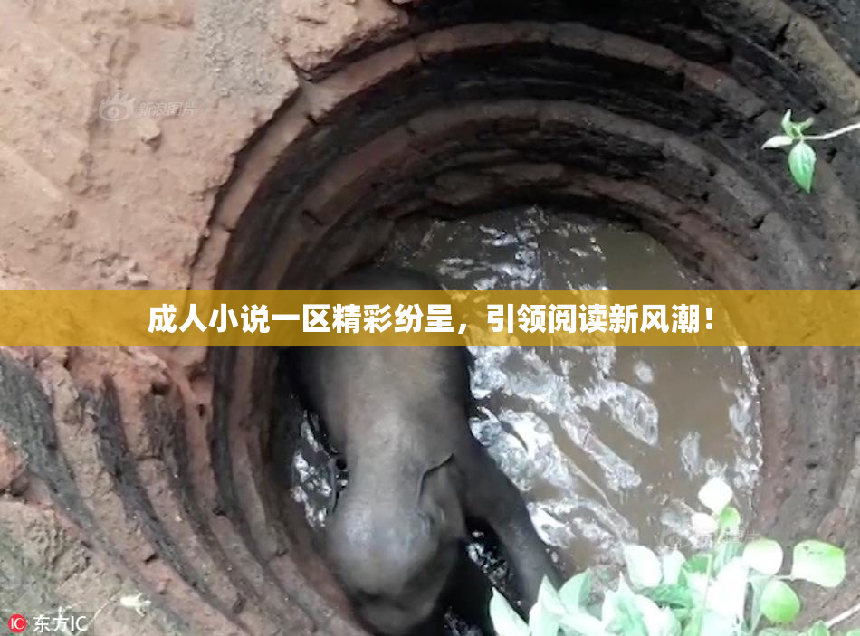 成人小说一区精彩纷呈，引领阅读新风潮！