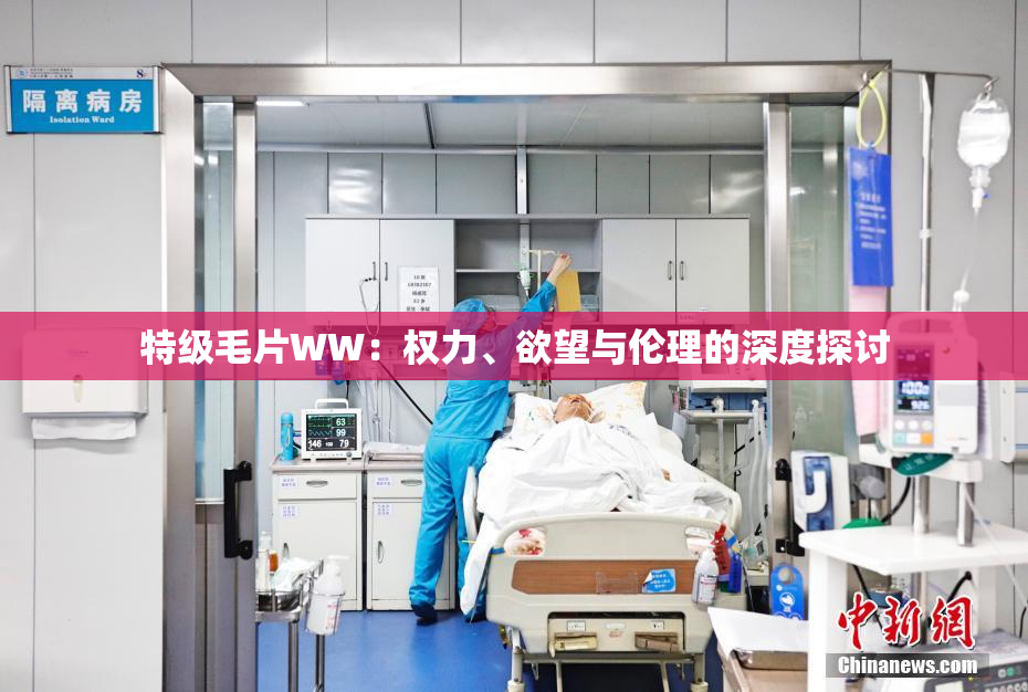 特级毛片WW：权力、欲望与伦理的深度探讨
