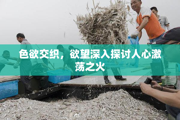色欲交织，欲望深入探讨人心激荡之火