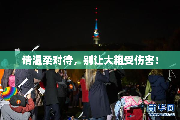 请温柔对待，别让大粗受伤害！