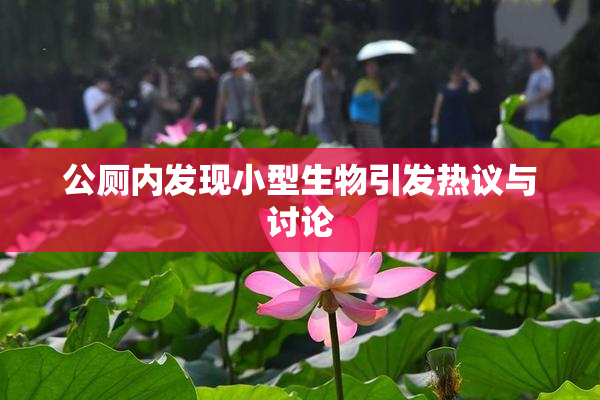 公厕内发现小型生物引发热议与讨论