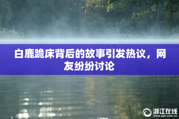 白鹿跪床背后的故事引发热议，网友纷纷讨论