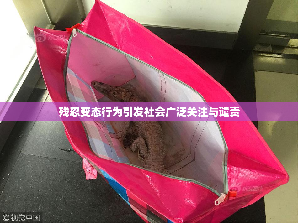 残忍变态行为引发社会广泛关注与谴责