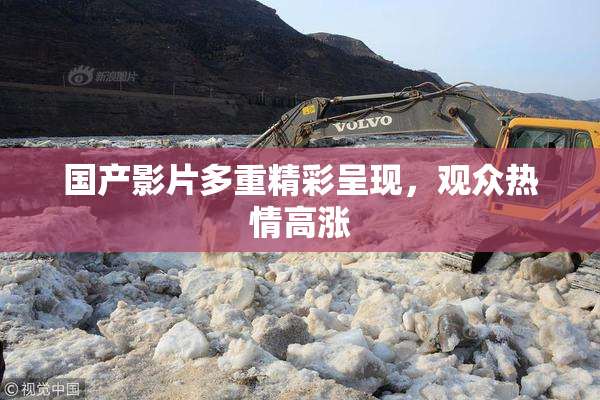 国产影片多重精彩呈现，观众热情高涨