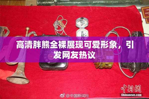 高清胖熊全裸展现可爱形象，引发网友热议