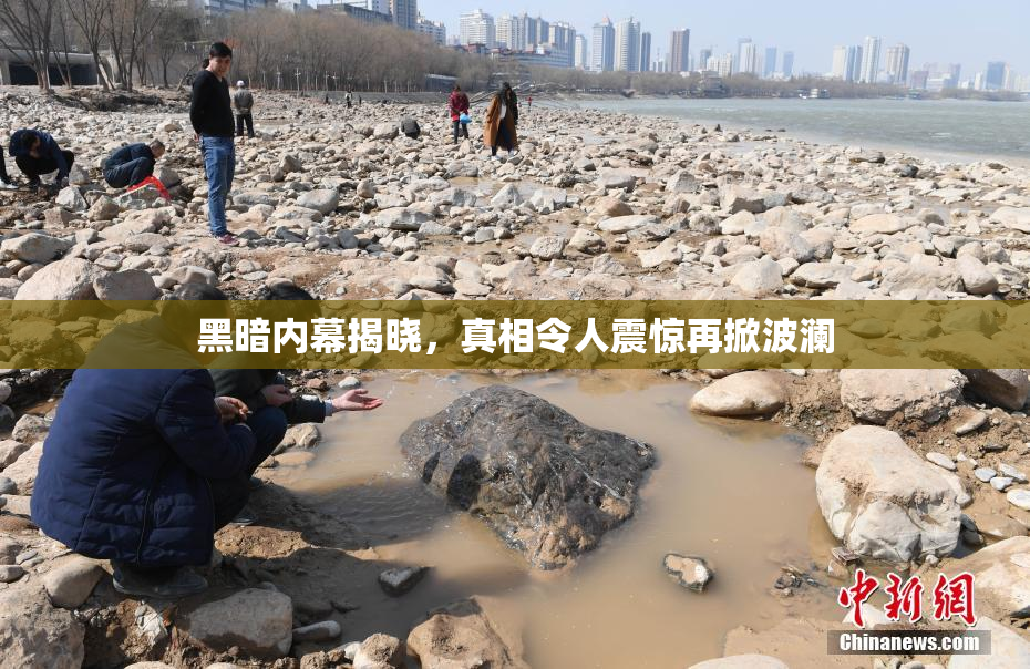 黑暗内幕揭晓，真相令人震惊再掀波澜