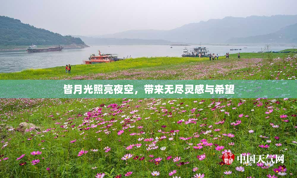 皆月光照亮夜空，带来无尽灵感与希望