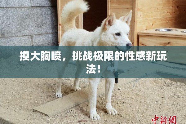 摸大胸喷，挑战极限的性感新玩法！