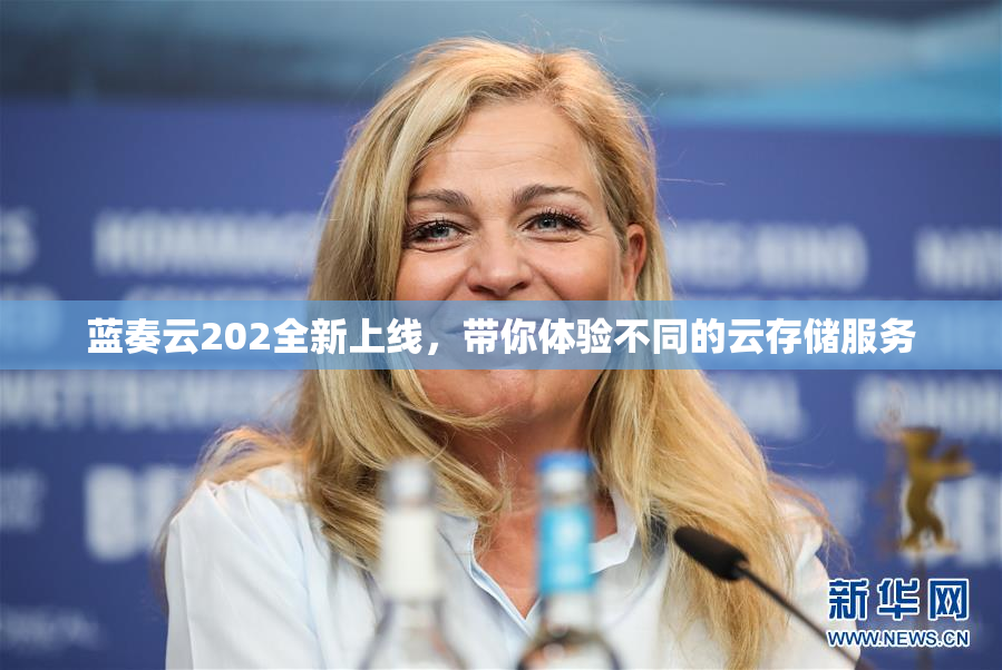 蓝奏云202全新上线，带你体验不同的云存储服务
