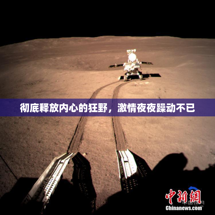 彻底释放内心的狂野，激情夜夜躁动不已