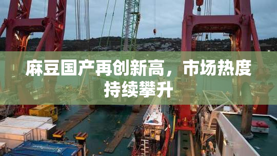 麻豆国产再创新高，市场热度持续攀升