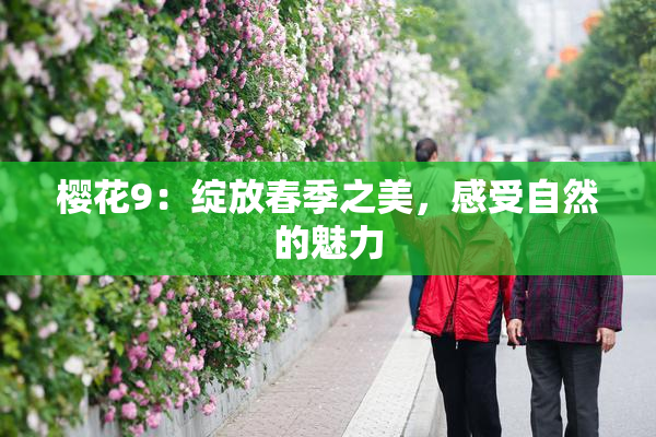 樱花9：绽放春季之美，感受自然的魅力