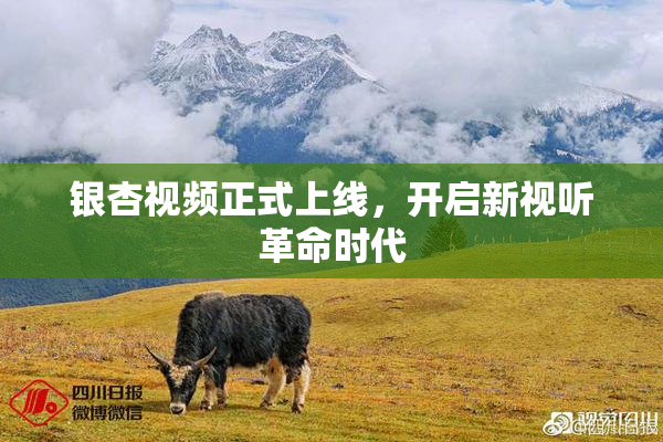 银杏视频正式上线，开启新视听革命时代