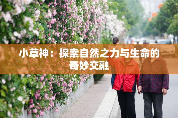 小草神：探索自然之力与生命的奇妙交融