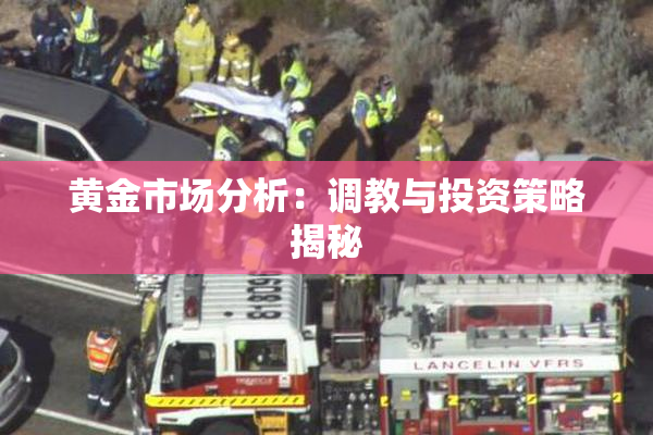 黄金市场分析：调教与投资策略揭秘