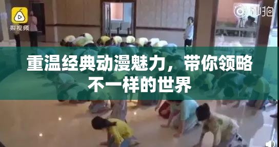 重温经典动漫魅力，带你领略不一样的世界