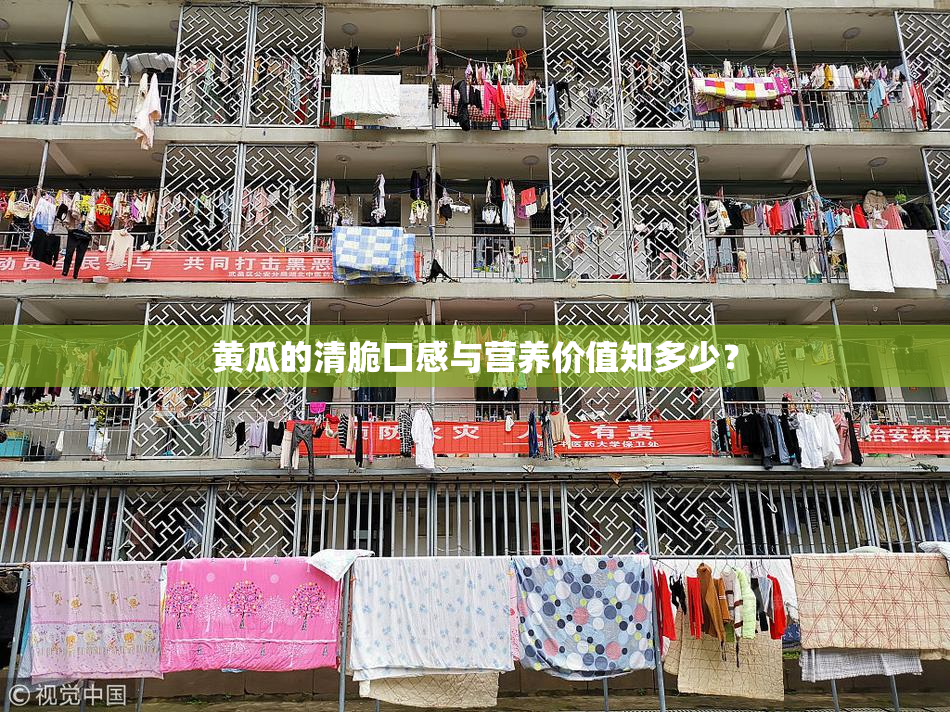 黄瓜的清脆口感与营养价值知多少？
