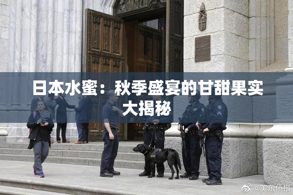 日本水蜜：秋季盛宴的甘甜果实大揭秘