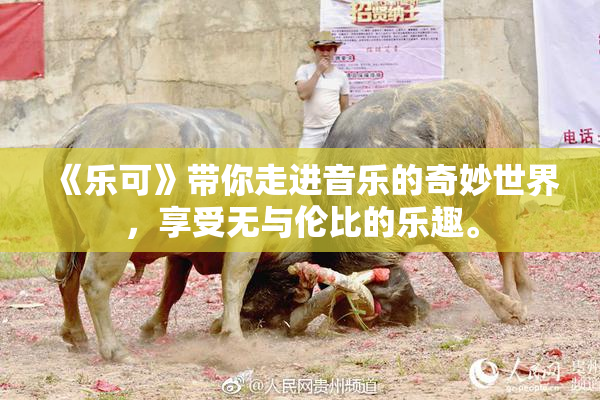 《乐可》带你走进音乐的奇妙世界，享受无与伦比的乐趣。