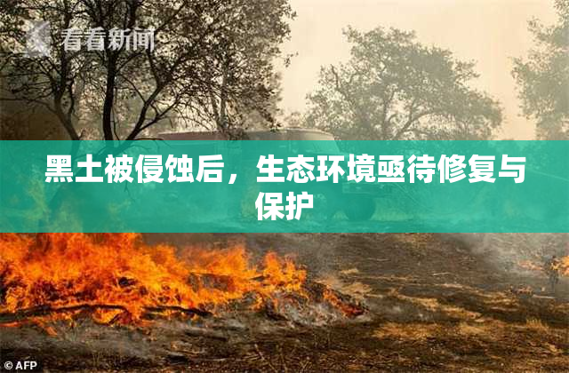 黑土被侵蚀后，生态环境亟待修复与保护