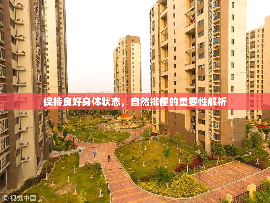 保持良好身体状态，自然排便的重要性解析