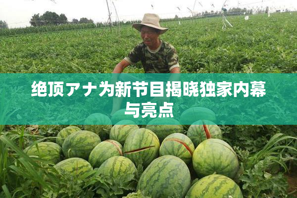 绝顶アナ为新节目揭晓独家内幕与亮点