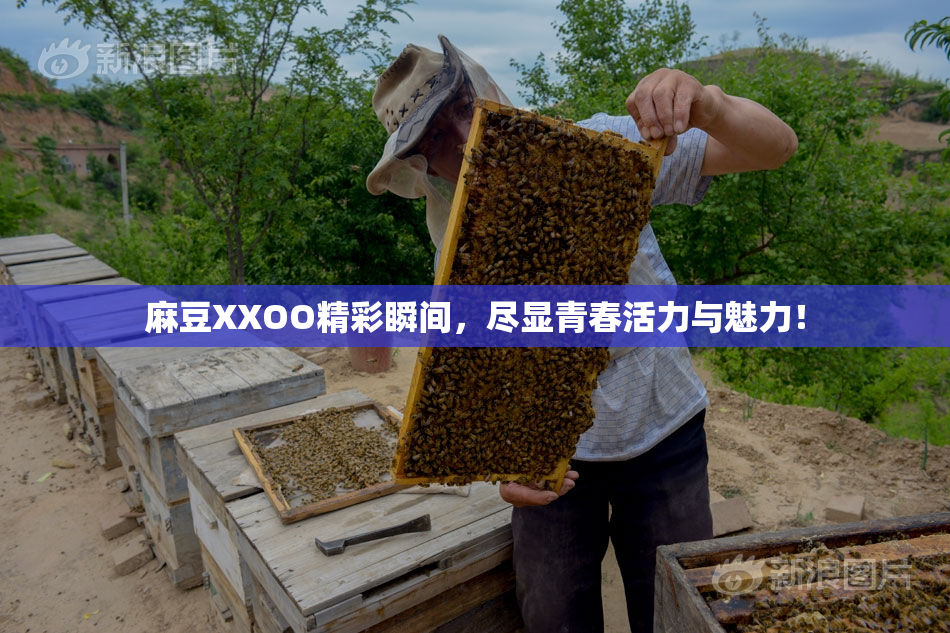 麻豆XXOO精彩瞬间，尽显青春活力与魅力！