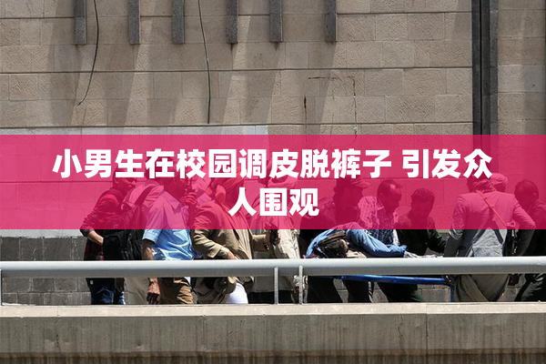 小男生在校园调皮脱裤子 引发众人围观
