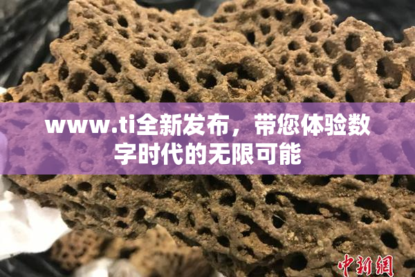 www.ti全新发布，带您体验数字时代的无限可能