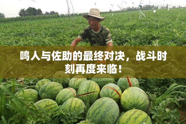 鸣人与佐助的最终对决，战斗时刻再度来临！