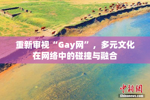重新审视“Gay网”，多元文化在网络中的碰撞与融合