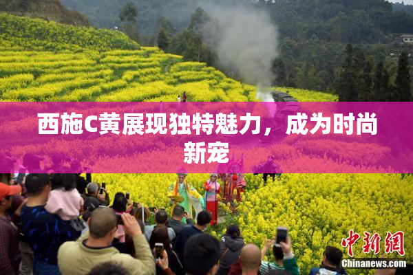 西施C黄展现独特魅力，成为时尚新宠