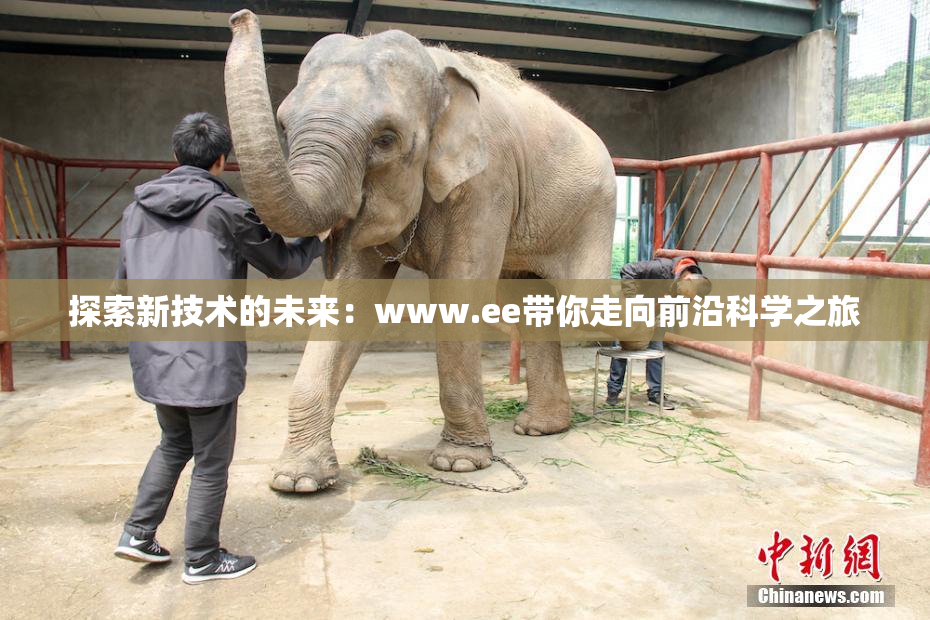 探索新技术的未来：www.ee带你走向前沿科学之旅