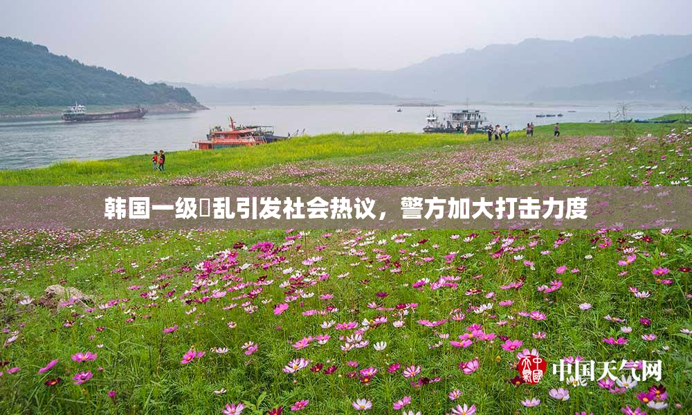 韩国一级婬乱引发社会热议，警方加大打击力度