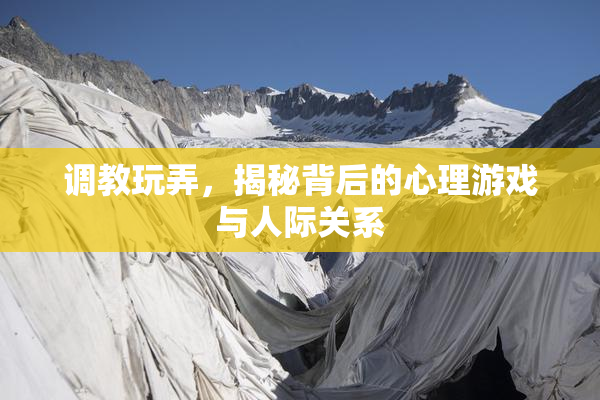 调教玩弄，揭秘背后的心理游戏与人际关系