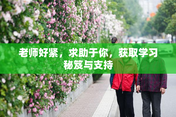 老师好紧，求助于你，获取学习秘笈与支持