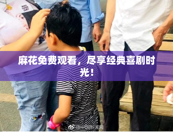 麻花免费观看，尽享经典喜剧时光！