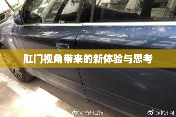 肛门视角带来的新体验与思考