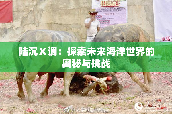 陆沉Ⅹ调：探索未来海洋世界的奥秘与挑战