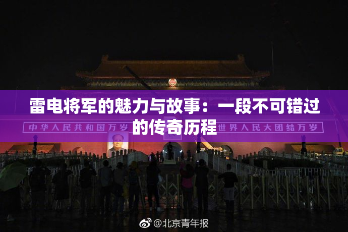 雷电将军的魅力与故事：一段不可错过的传奇历程