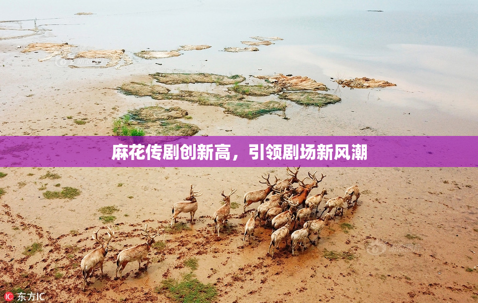 麻花传剧创新高，引领剧场新风潮