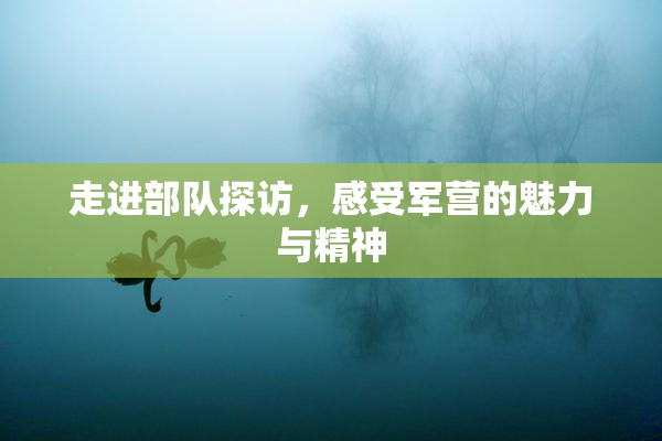 走进部队探访，感受军营的魅力与精神