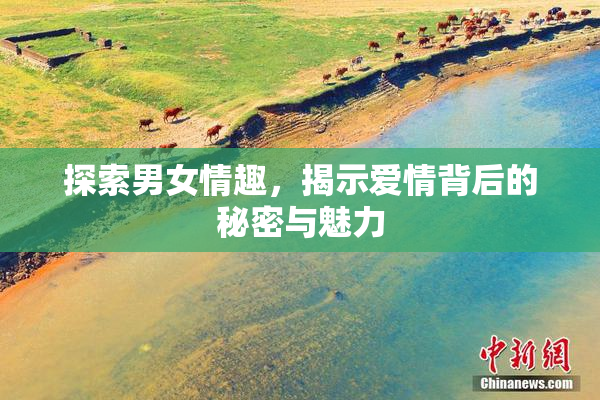 探索男女情趣，揭示爱情背后的秘密与魅力