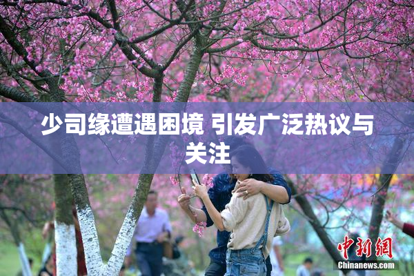 少司缘遭遇困境 引发广泛热议与关注
