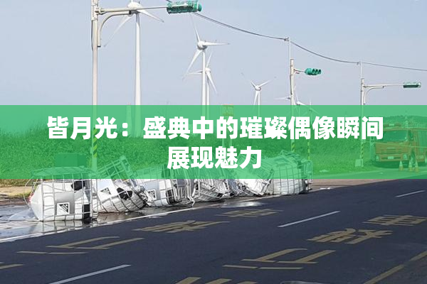 皆月光：盛典中的璀璨偶像瞬间展现魅力